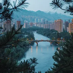 河南大学刘壮简介资料