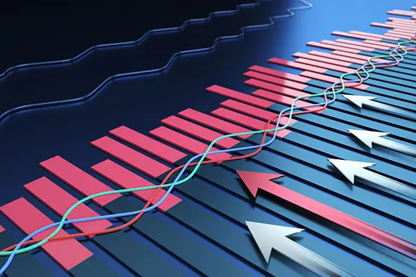 大学教授林辉简介